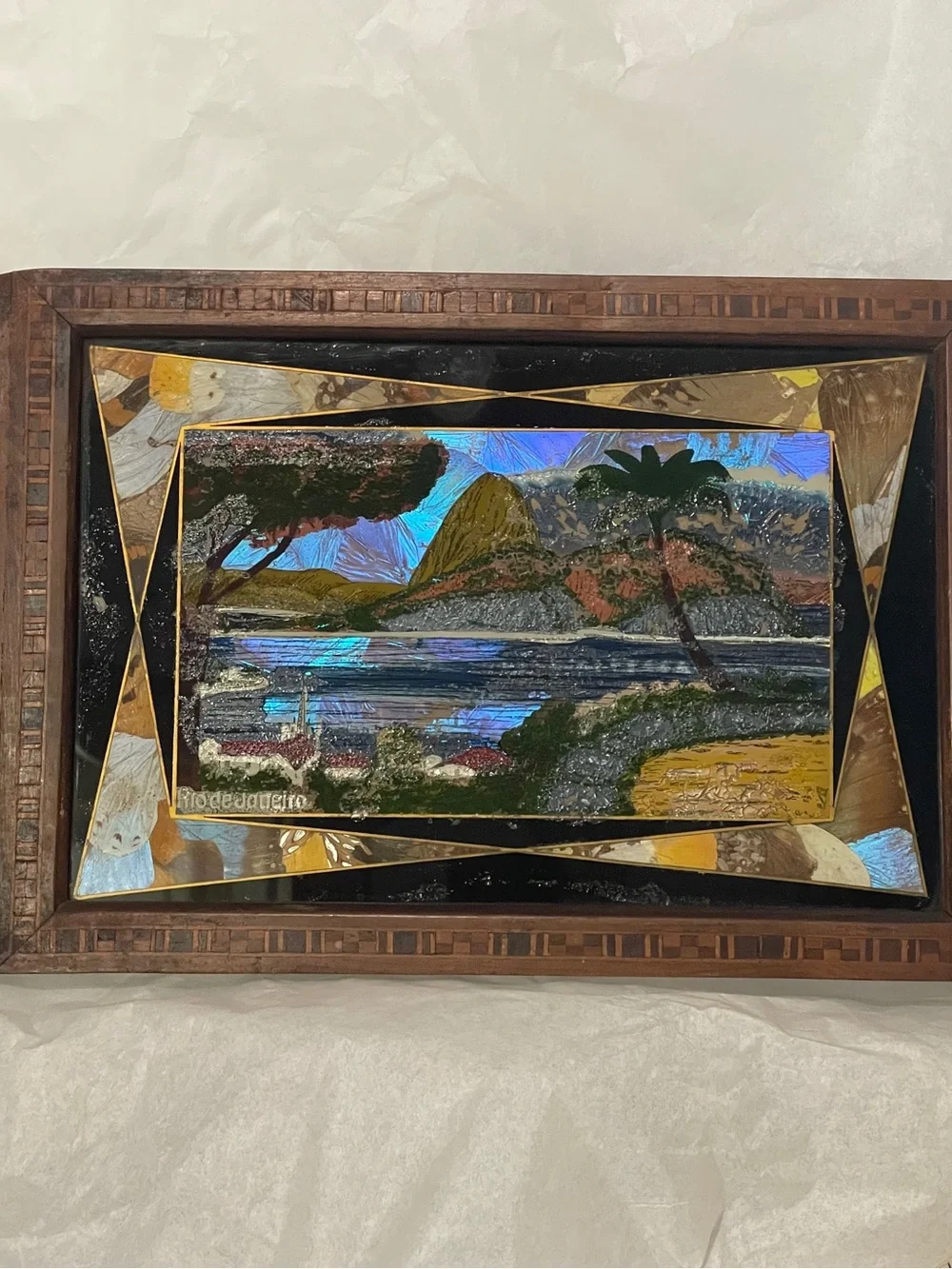 Vintage  Daniel Teixeira Wooden Tray,  Rio De Janeiro Iridescent